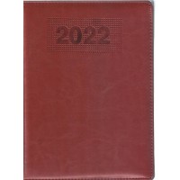 Diary 2022-D+42 KS01484