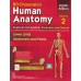 Human Anatomy 4 Volume Set (Vol.1 to Vol.4) By B.D.Chaurasia KS00013