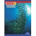 Note Book Camlin A4 Crown 172 Page Three Line KS00144B (Pack of 6 Notebooks)